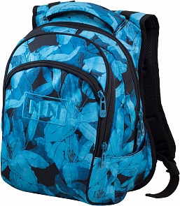 Рюкзак Лилии, 2 отделения (Winner, 239)